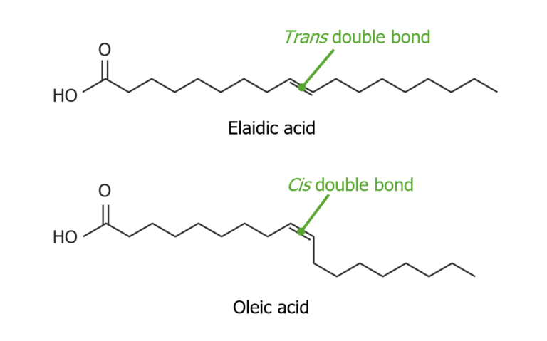 Fatty Acids And Lipids Concise Medical Knowledge