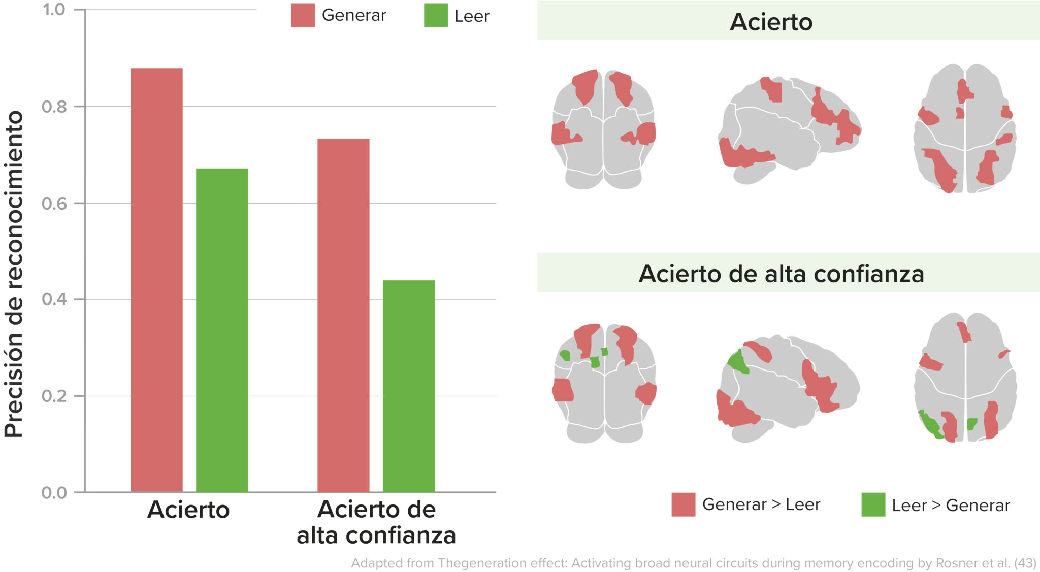 Aprendizaje Activo En La Educaci N M Dica