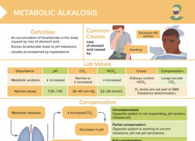 Acidbase Disorders Free Cheat Sheet Lecturio Nursing