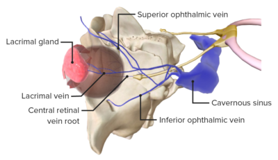 Oclus Es Vasculares Da Retina Concise Medical Knowledge