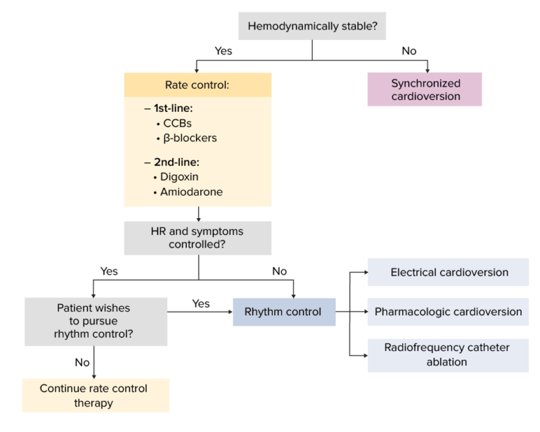 Atrial Flutter Clinical Concise Medical Knowledge