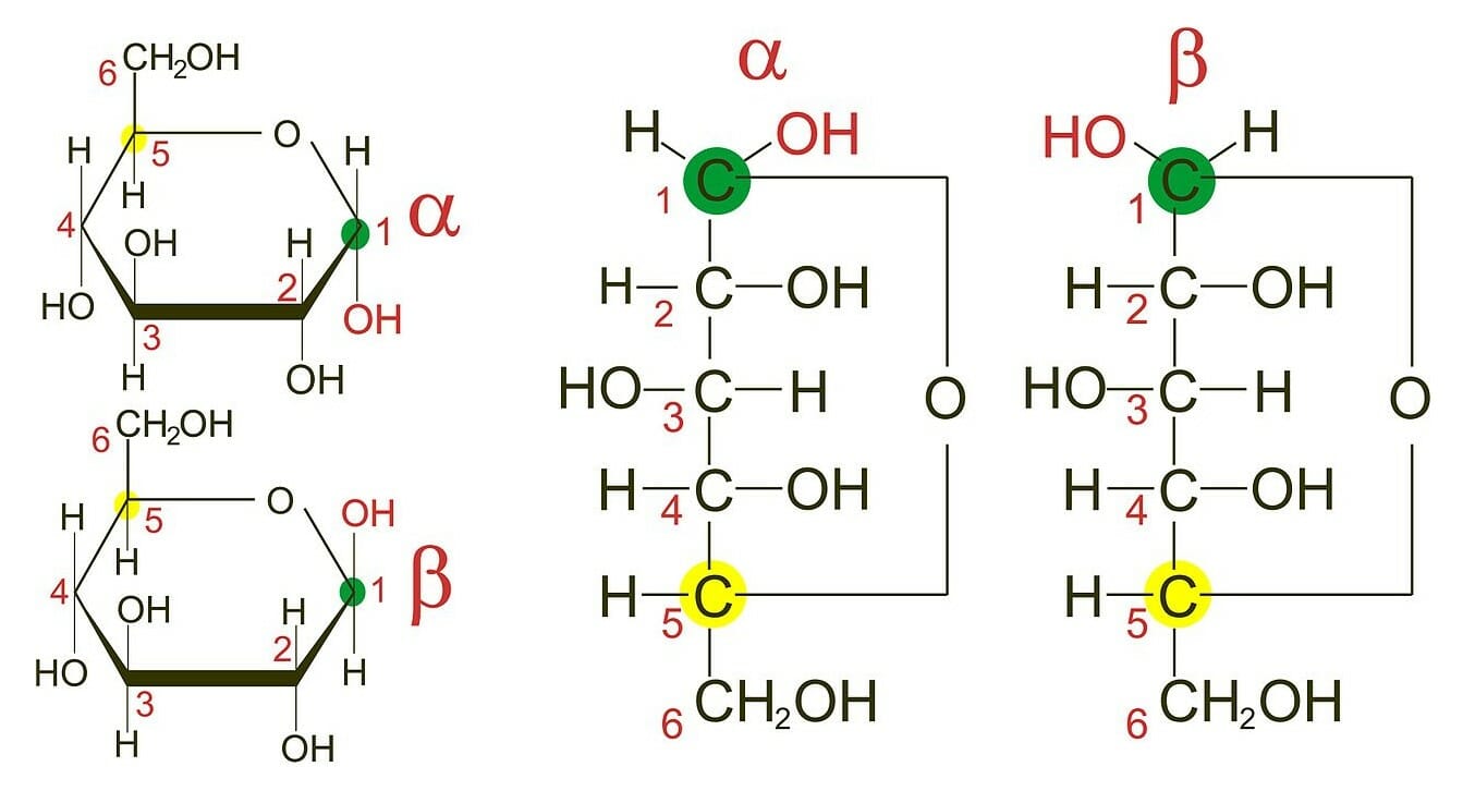 Converting Between Fischer, Haworth, and Chair Forms of Carbohydrates —  Organic Chemistry Tutor