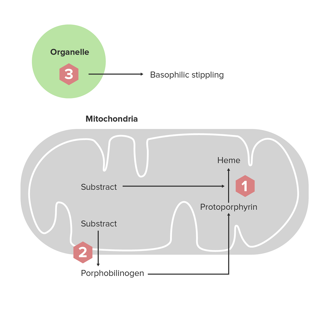 Metformin preis ohne rezept