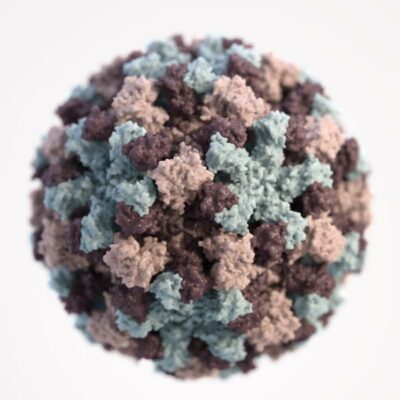 3-dimensional illustration of a norovirus virion