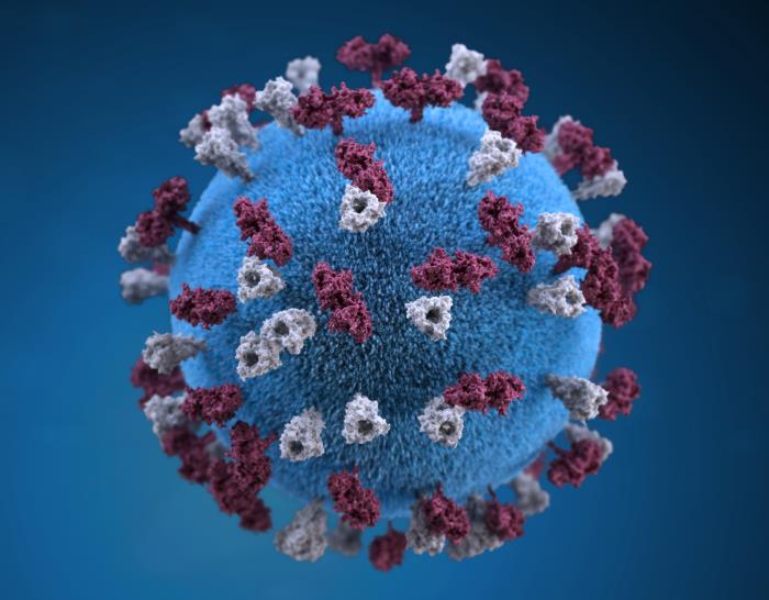 Representação gráfica 3d de uma partícula de vírus do sarampo em forma esférica