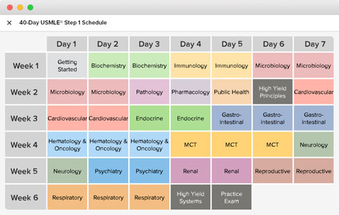 40 day schedule header opt