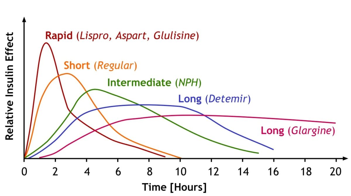 A comparison of the onset, peak effect, and duration of different insulin subtypes