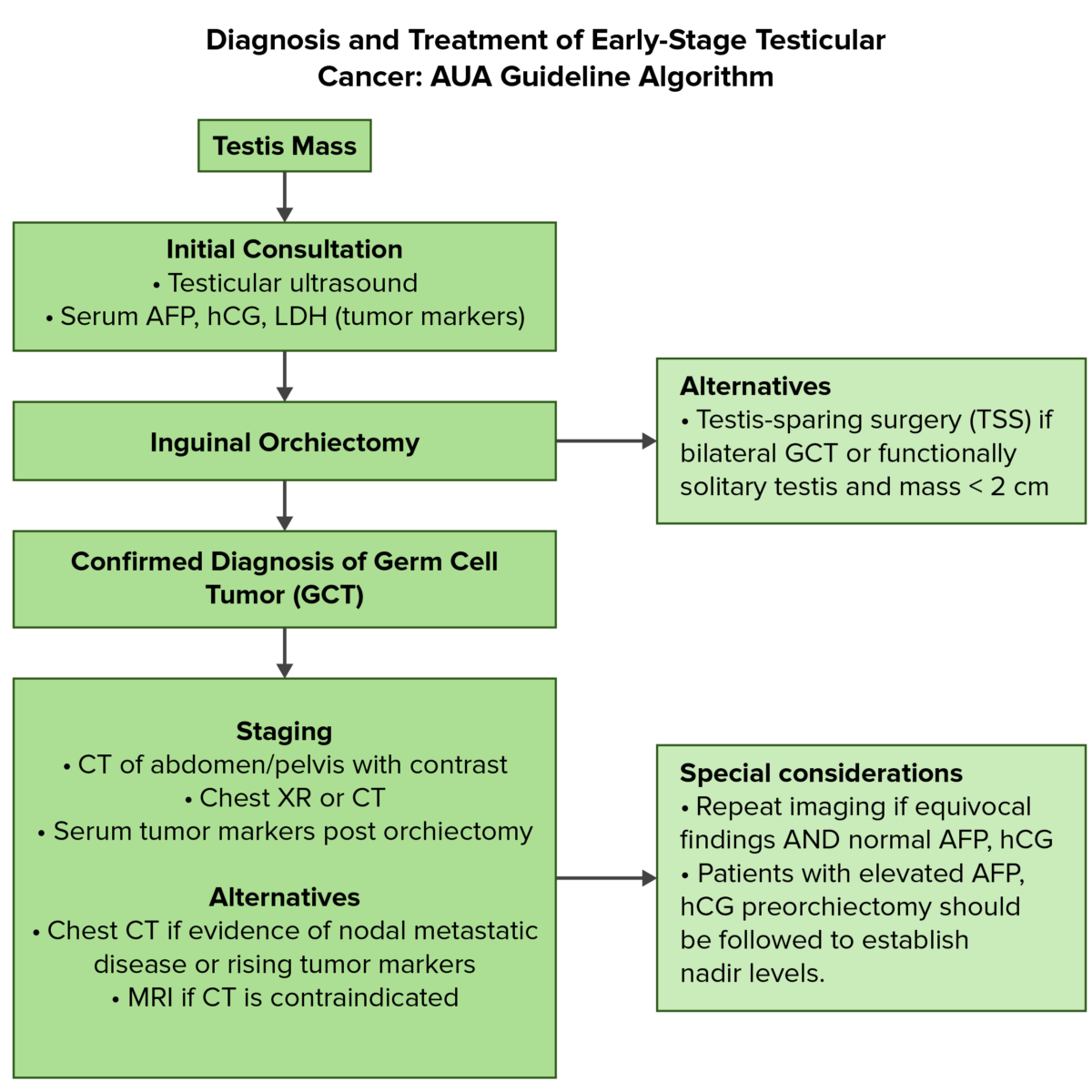 Aua guideline algorithm