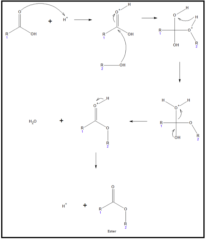Acid-catalyzed esterification