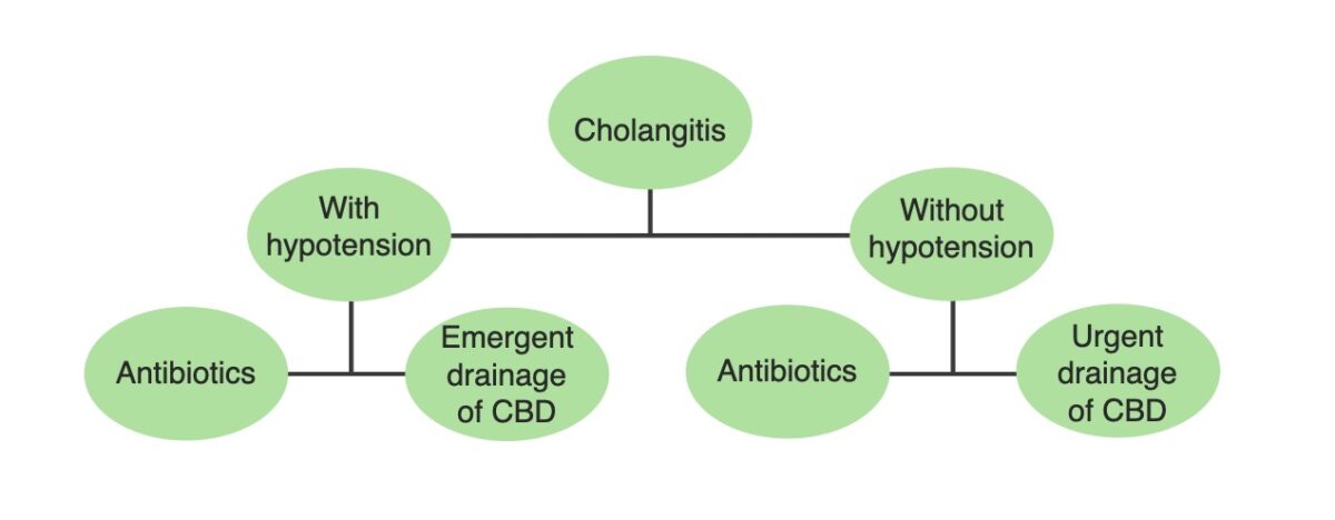 Acute Cholangitis | Concise Medical Knowledge