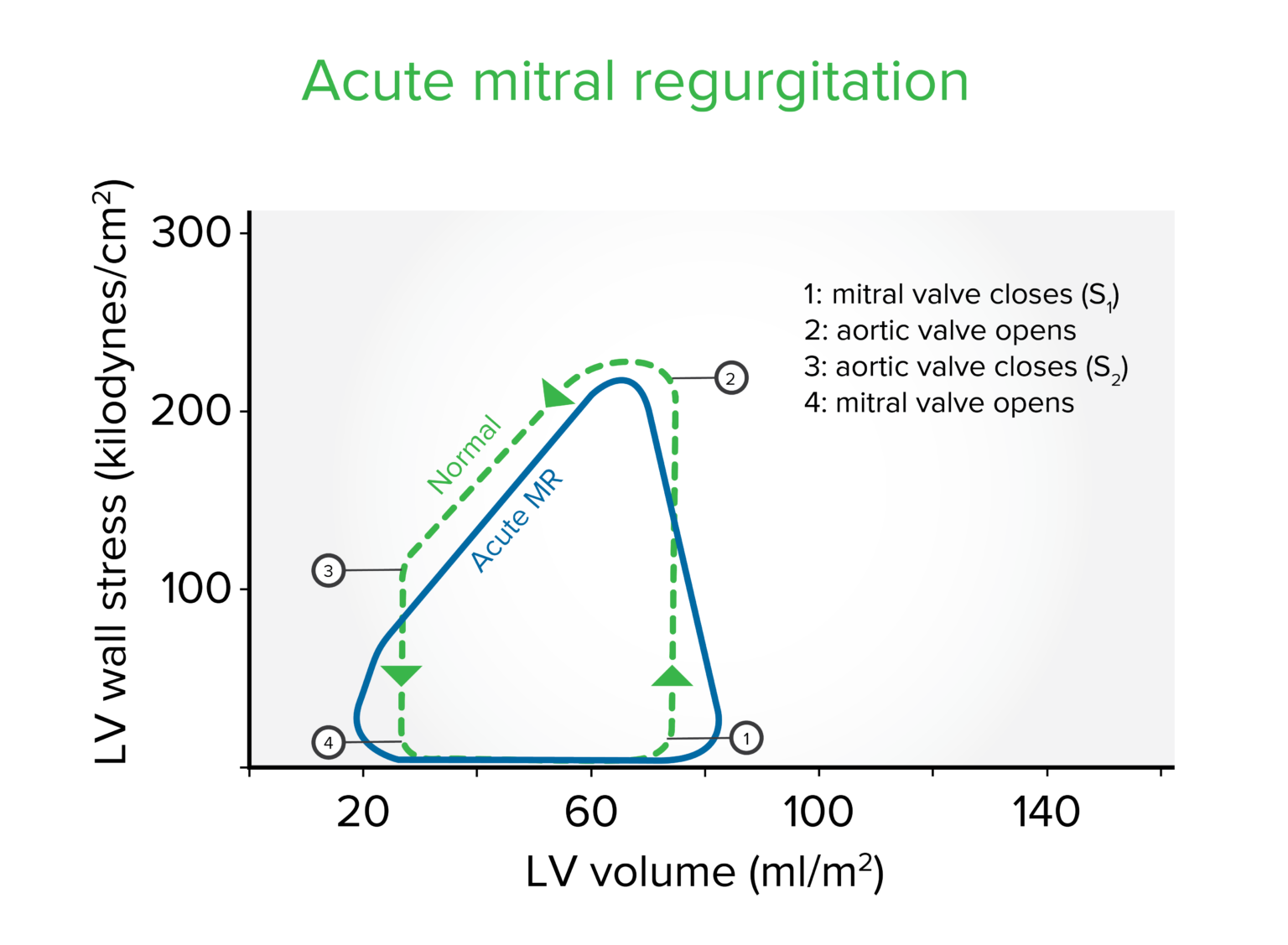 Mitral Regurgitation Concise Medical Knowledge 3599