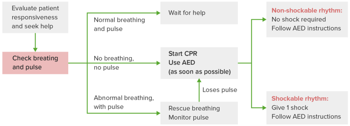 Adult basic life support (bls)