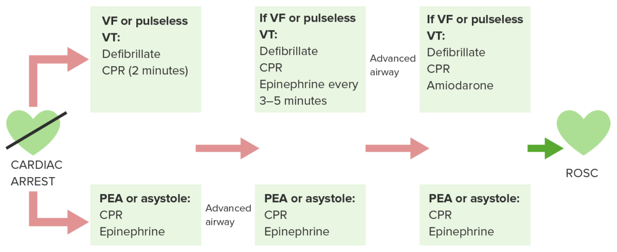 Adult cardiac arrest diagram