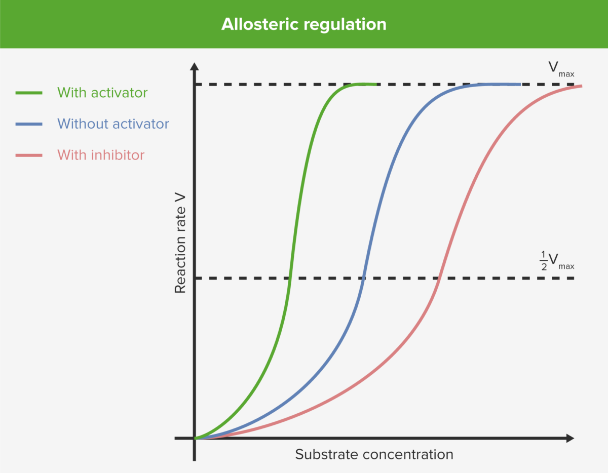 Allosteric regulation