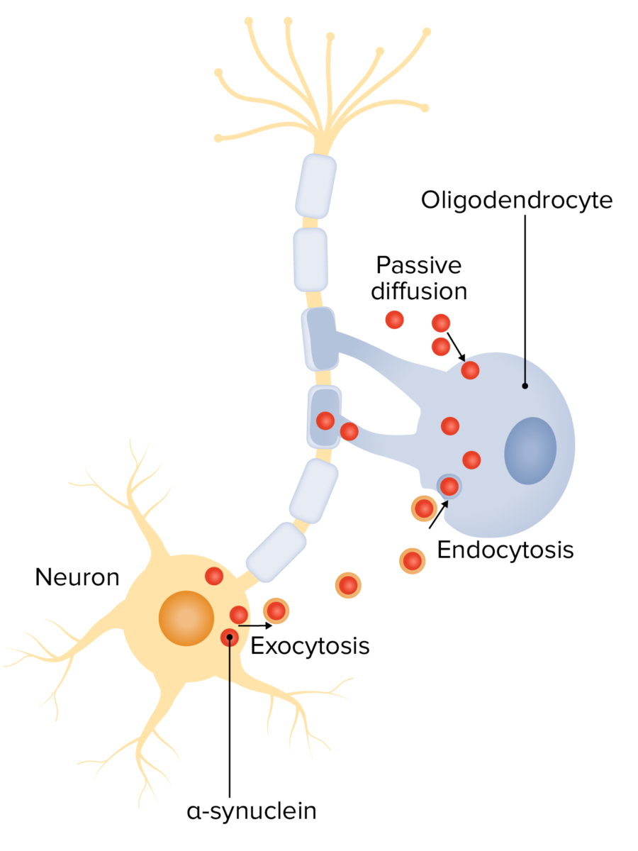 Alpha-synuclein in the pathogenesis of msa