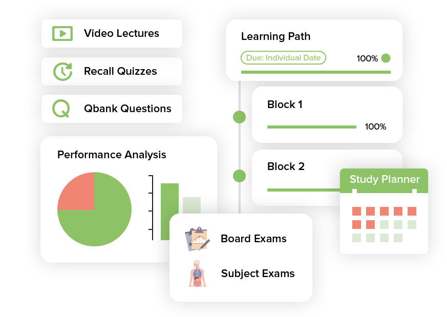 Anatomy learning path