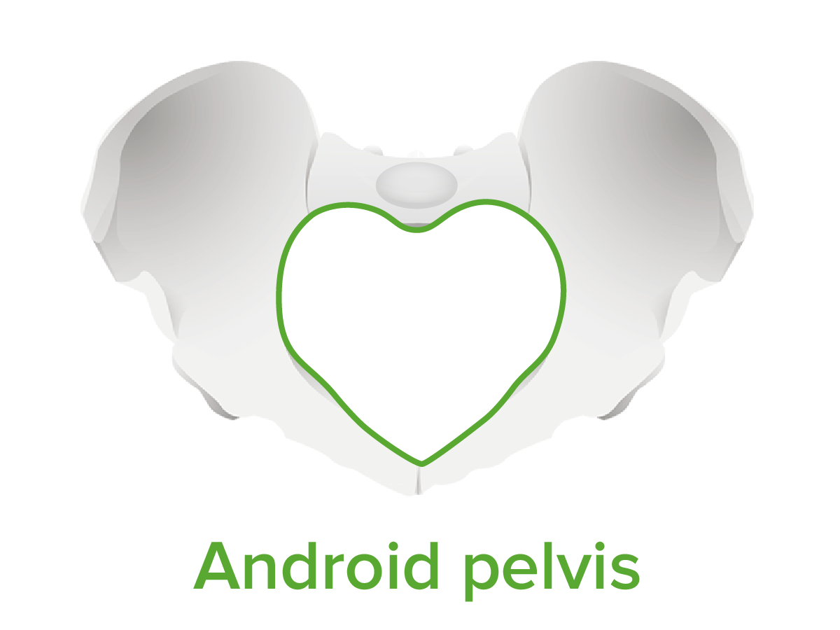 Android pelvis