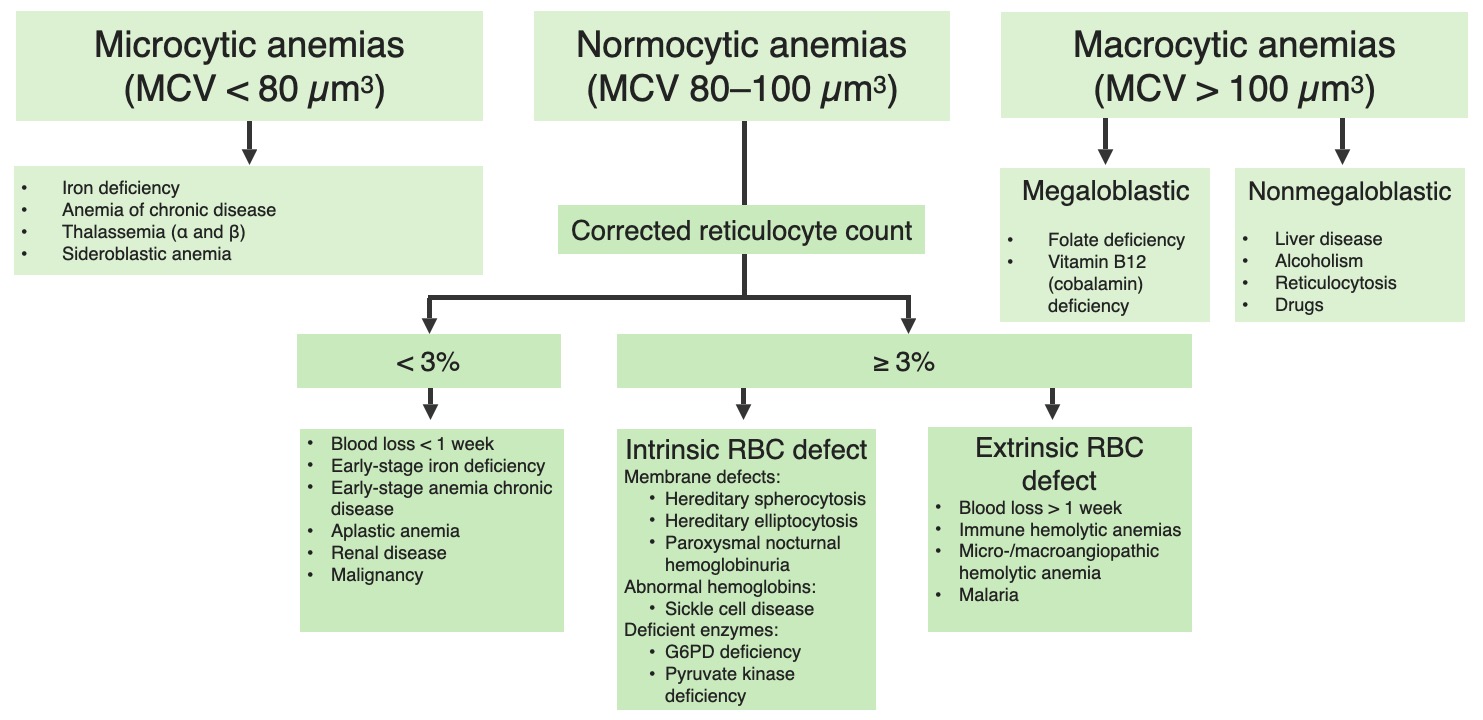Mnemonic for microcytic anemia