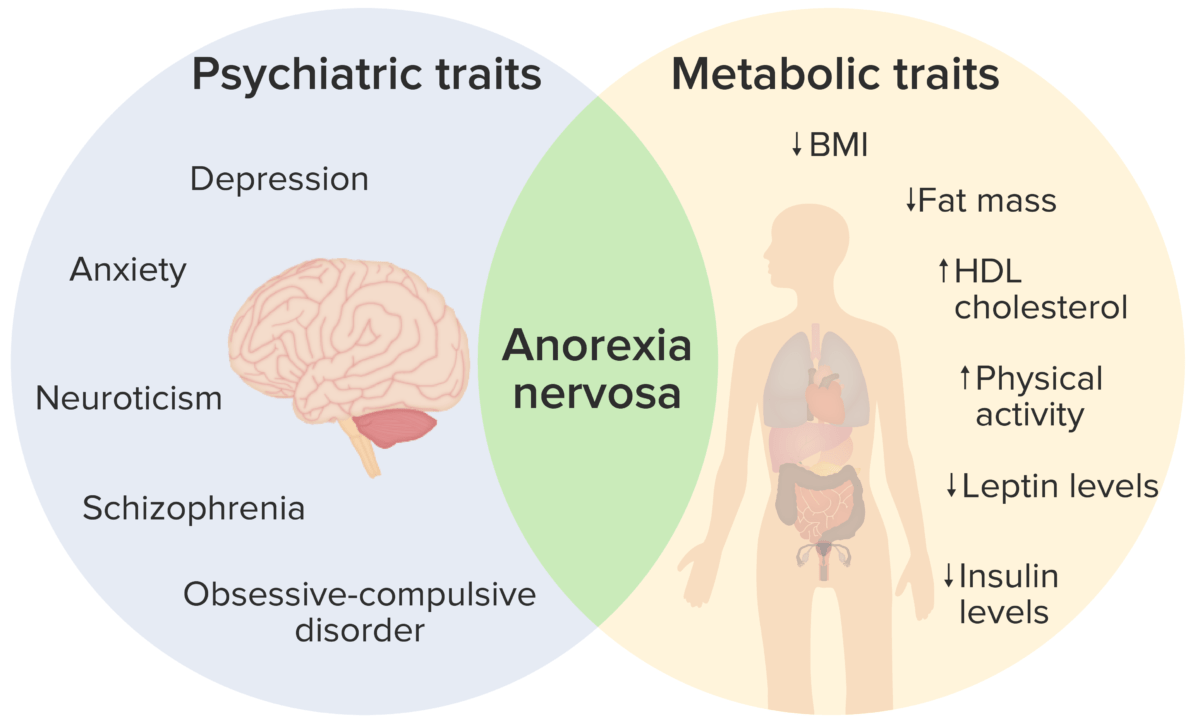 Anorexia nervosa pathophysiology