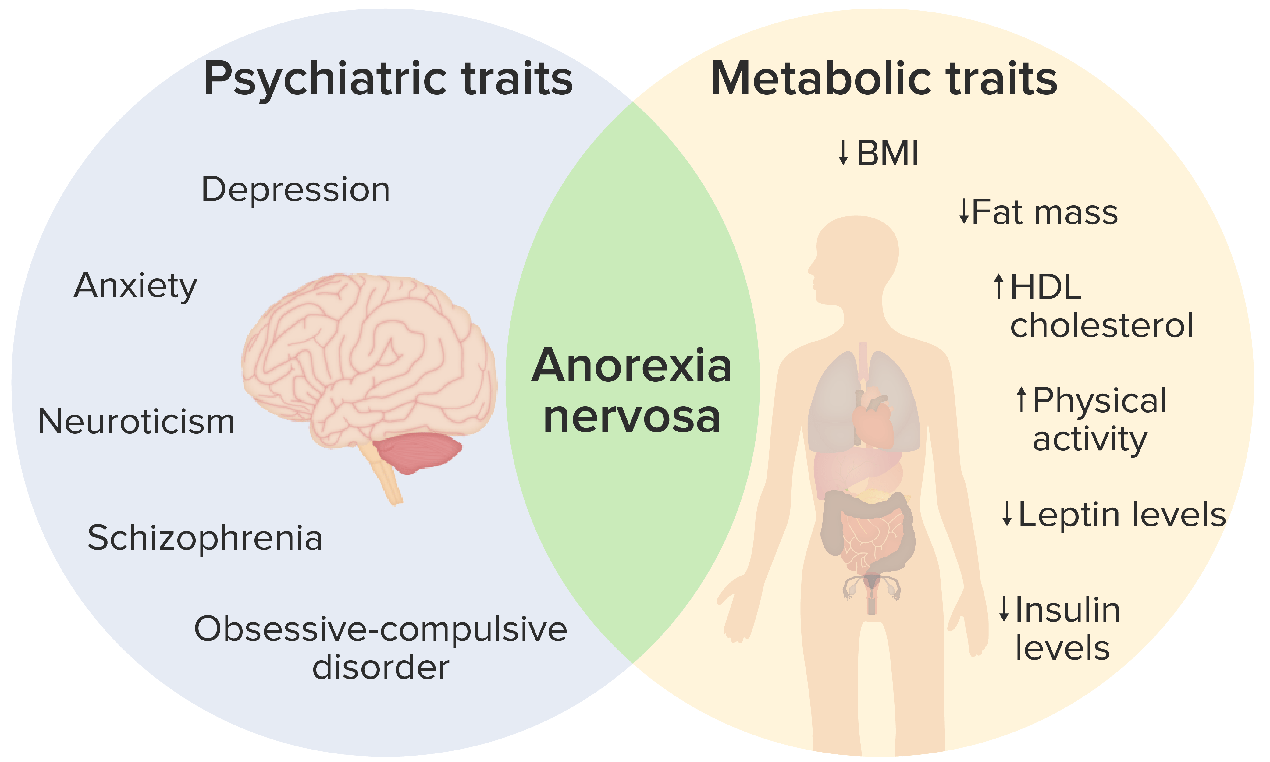 anorexia nervosa gevolgen