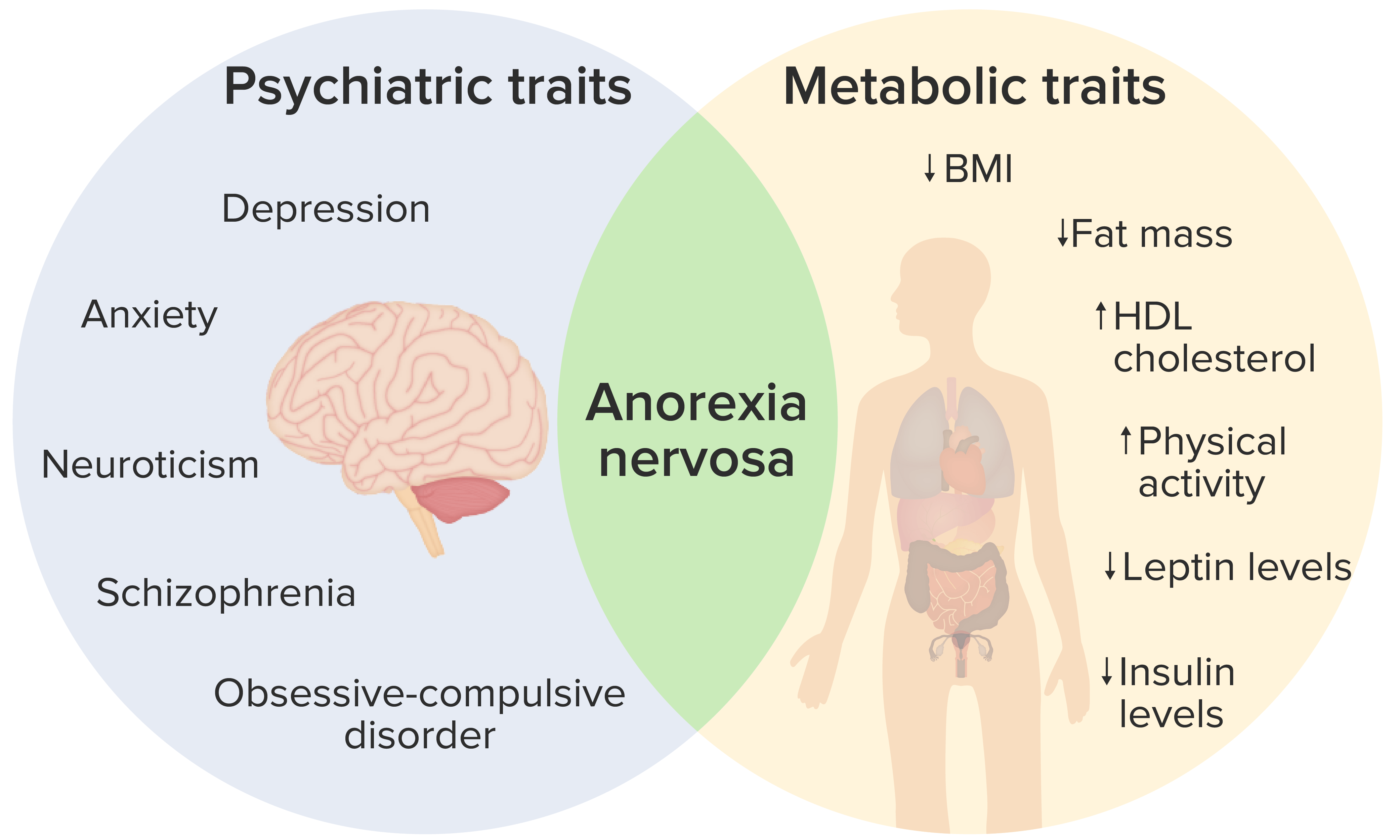 anorexia nervosa questions