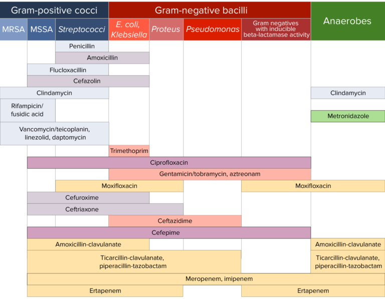 Antibiotic Sensitivity Chart 768x597 