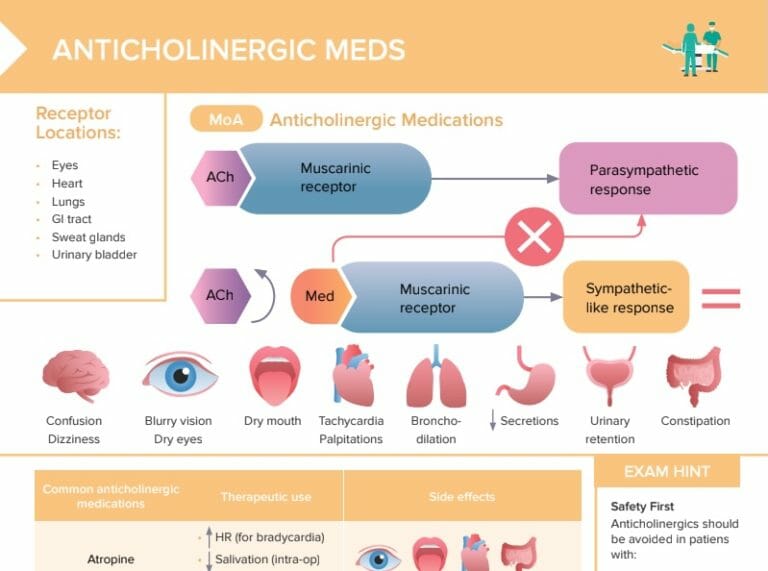Anticholinergic Drugs Free Cheat Sheet Lecturio