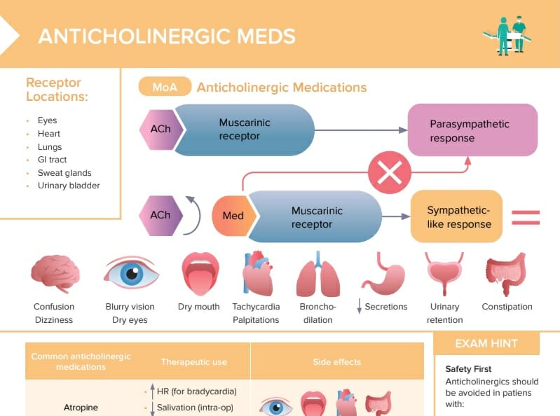 Anticholinergic drugs per patient according to anticholinergic drug