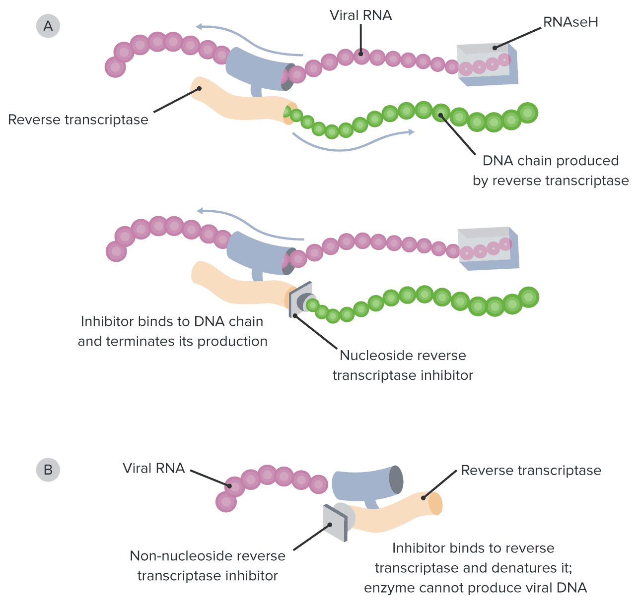 antiretroviral drugs mechanism of action