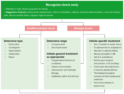 Approach to shock - recognize shock early