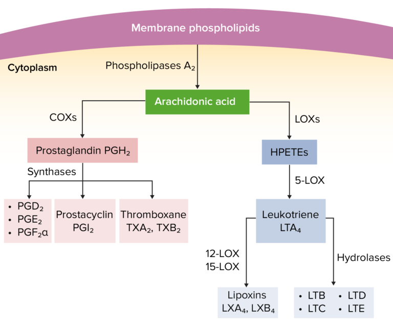 Nonsteroidal Antiinflammatory Drugs (NSAIDs) Concise Medical Knowledge