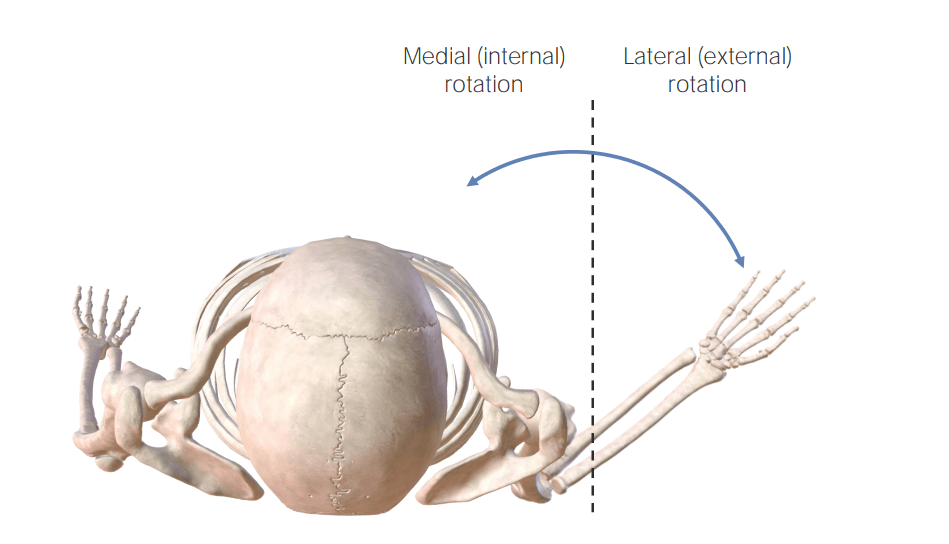 Arm rotation