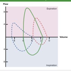 The Lecturio Medical Concept Library