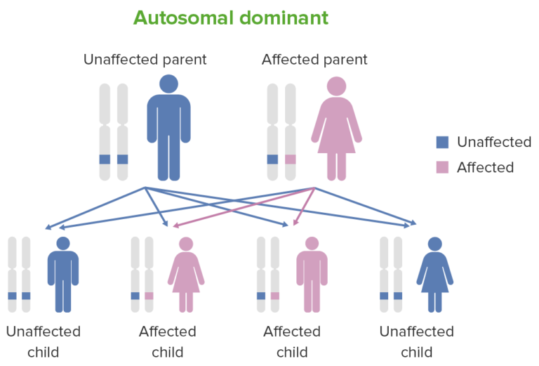 DiGeorge Syndrome | Concise Medical Knowledge