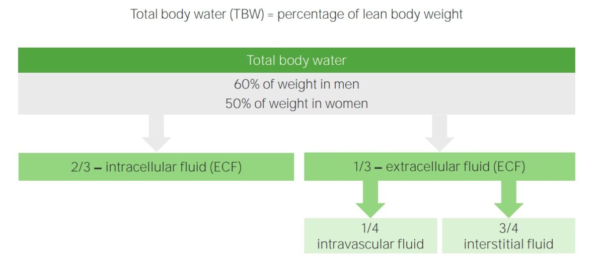 Body fluid compartments