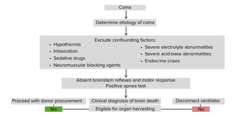 Brain Death | Concise Medical Knowledge