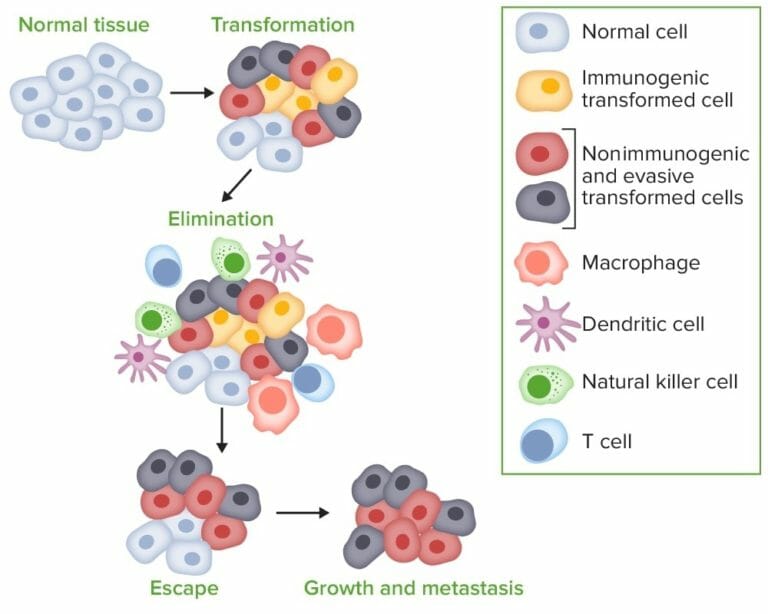 Cancer Immunotherapy Concise Medical Knowledge 2218