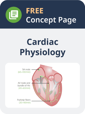 Cardiac physiology concept page thumbnail