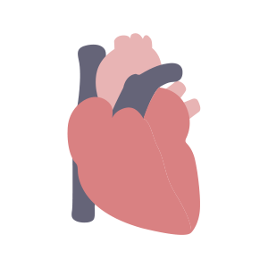 Cardiovascular and hematologic systems comat