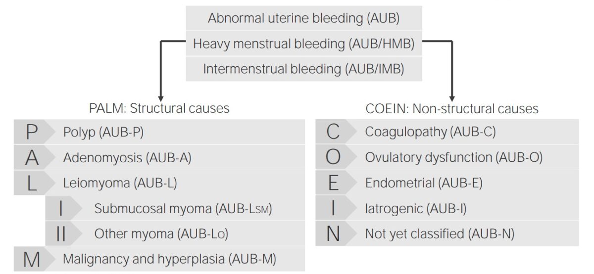 Causes of aub