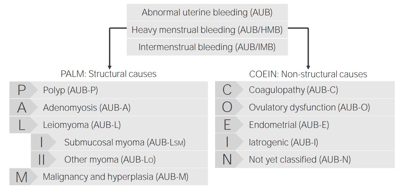 Abnormal Uterine Bleeding (booklet)