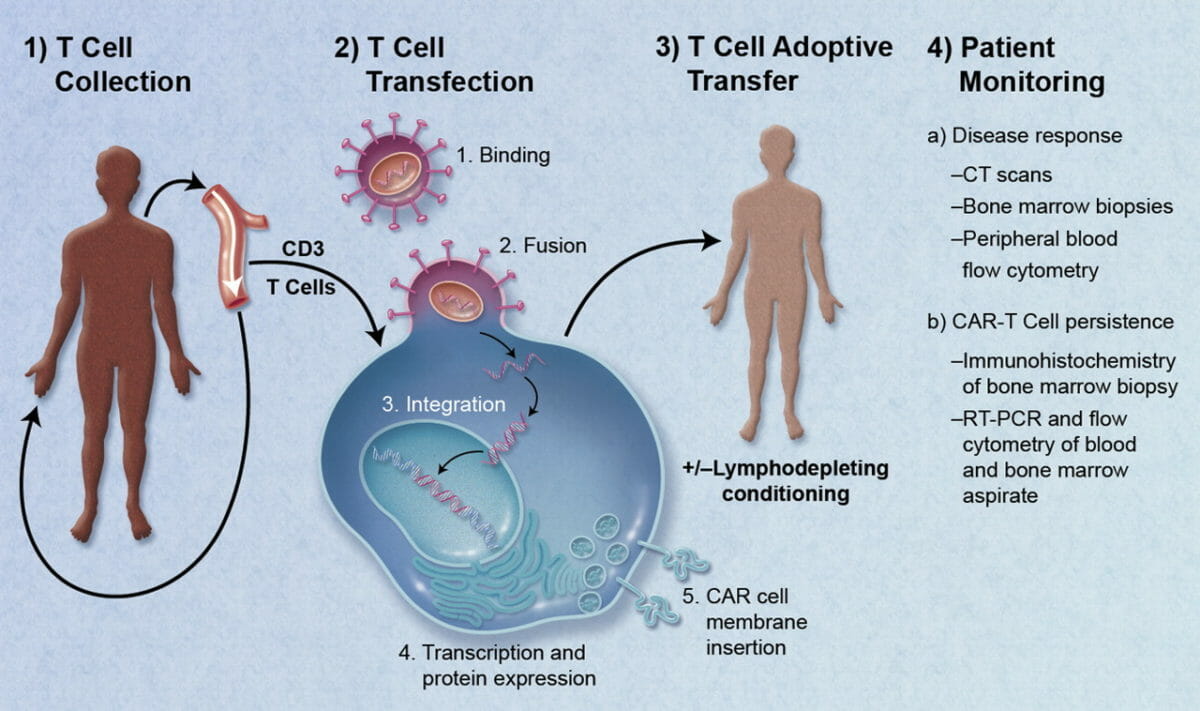 Inmunoterapia celular adaptativa