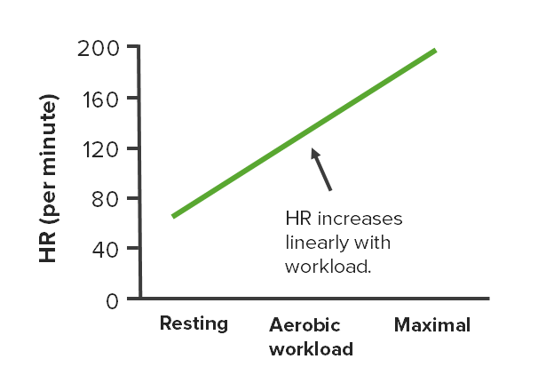 Cambios en la fc a diferentes intensidades de ejercicio aeróbico