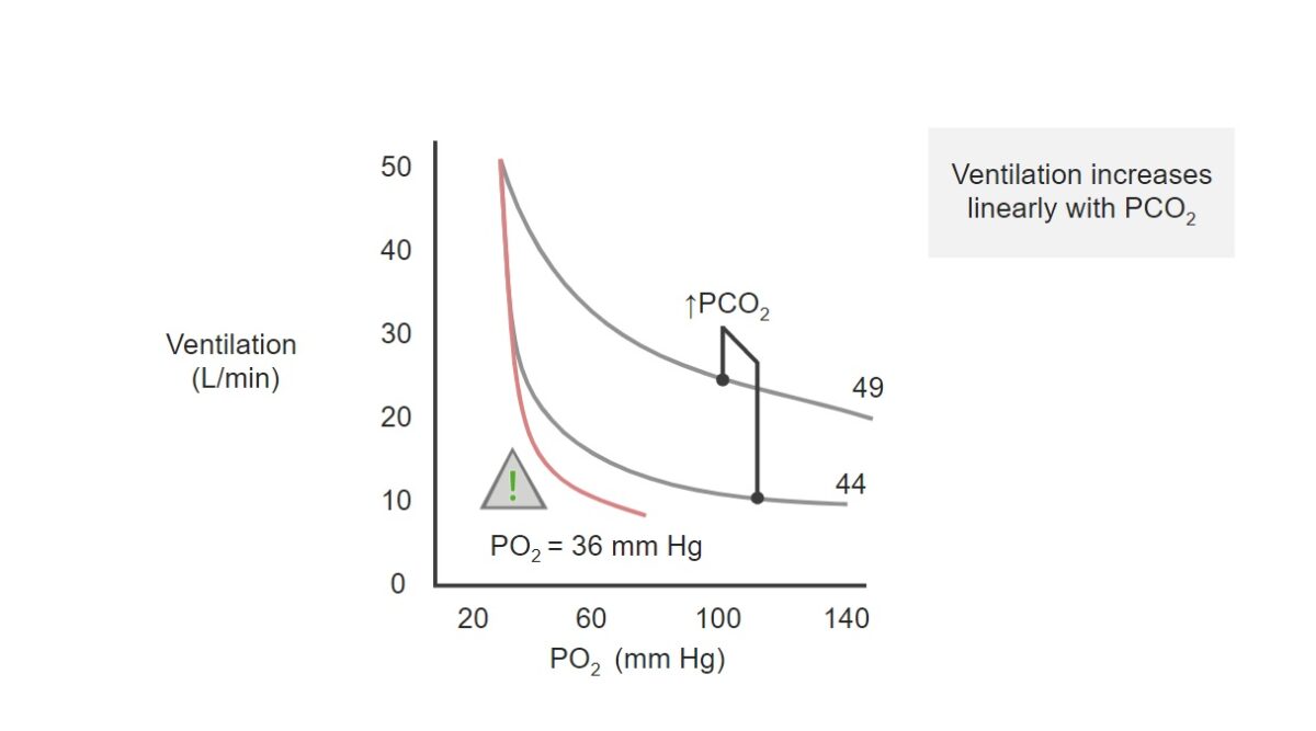 Chart of PO₂ (x-axis) and ventilation (y-axis) Respiratory regulation