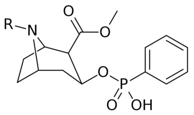 Chemical structure of cocaine local anesthetics