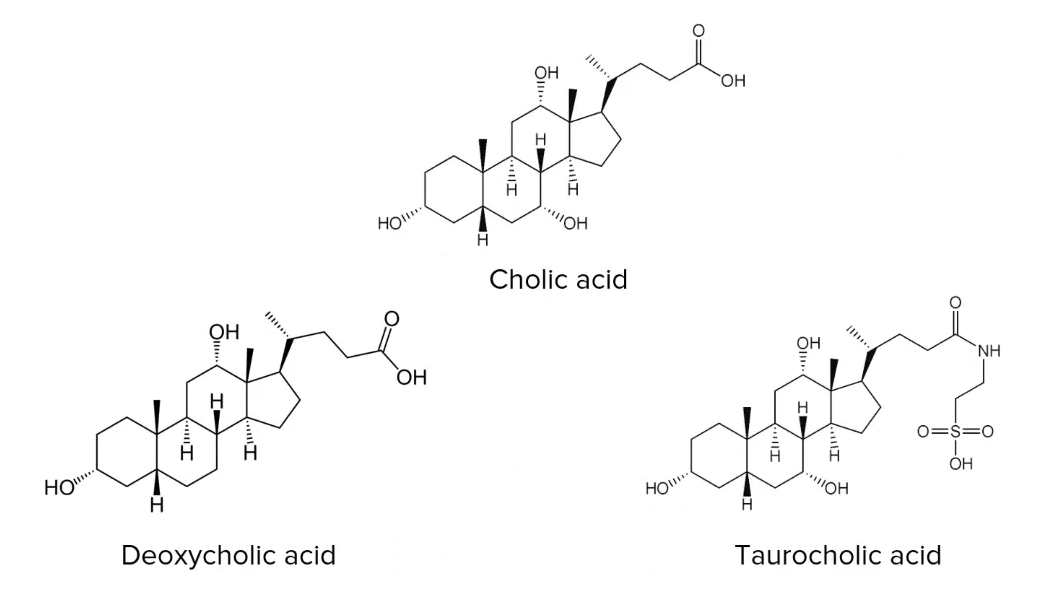 Chemical structures of bile acids