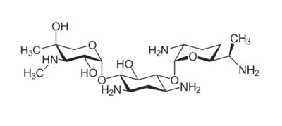 Chemical structure of gentamicin
