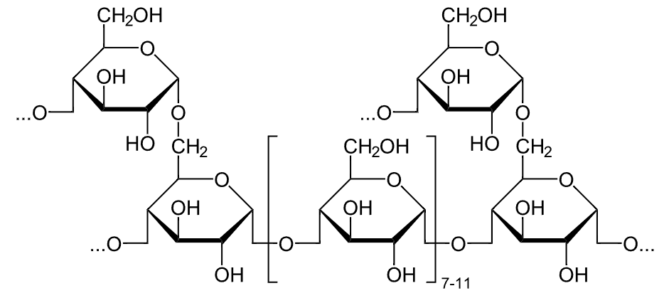 Chemical structure of glycogen