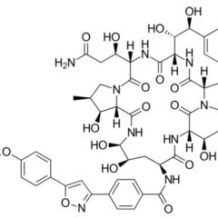 Chemical structure of micafungin echinocandins