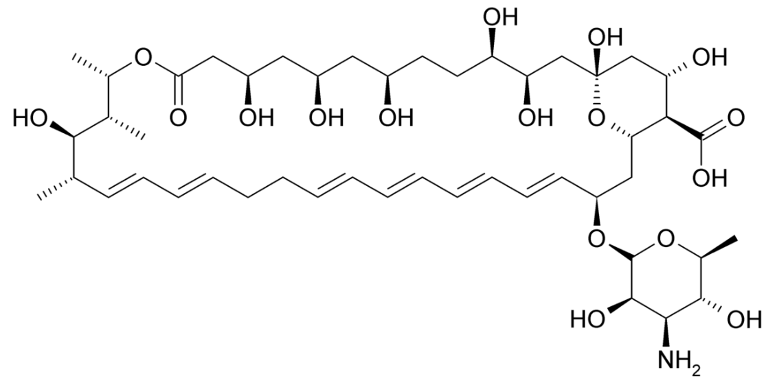 Chemical structure of nystatin polyenes